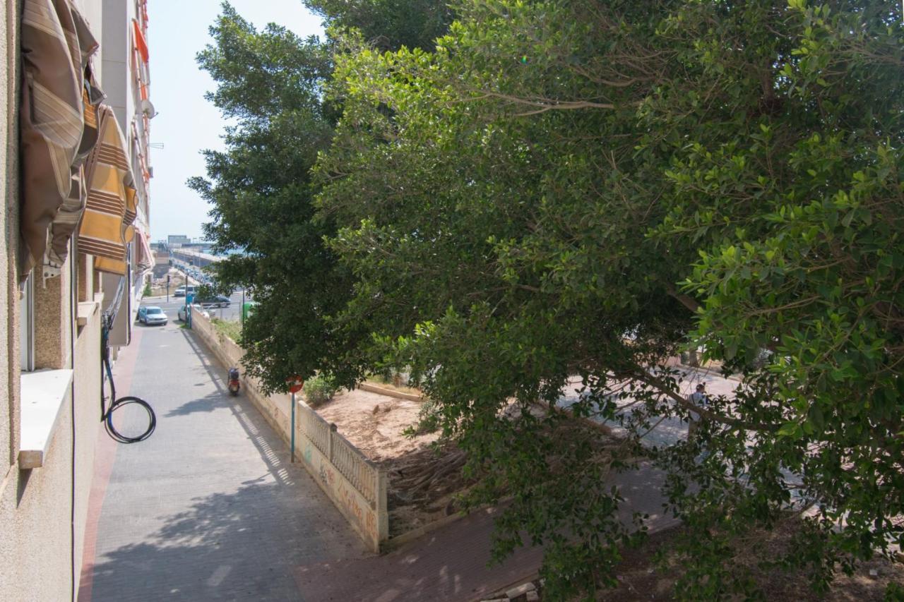 113 Beach And Trees - Alicante Holiday Torrevieja Eksteriør bilde